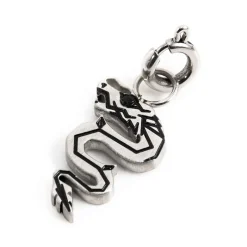 Best Charm drago Charms