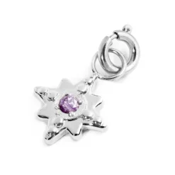 Outlet Charm rosa dei venti con zircone Charms