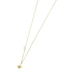 Discount Collana rosa dei venti pendente 10mm e zircone Collane