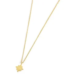 Sale Collana rosa dei venti pendente Collane